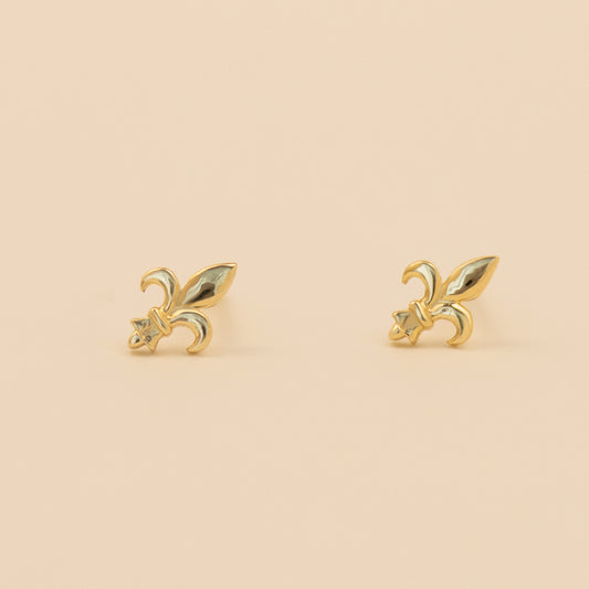 Sylina Glimpse Earrings