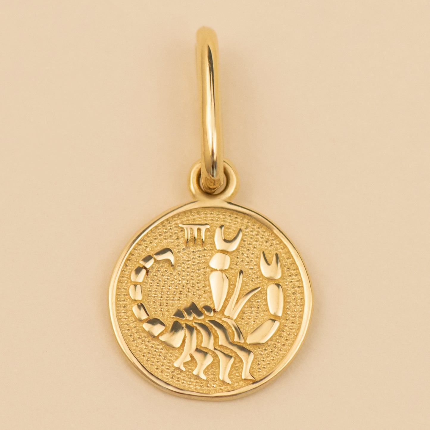 Zodiac Charm