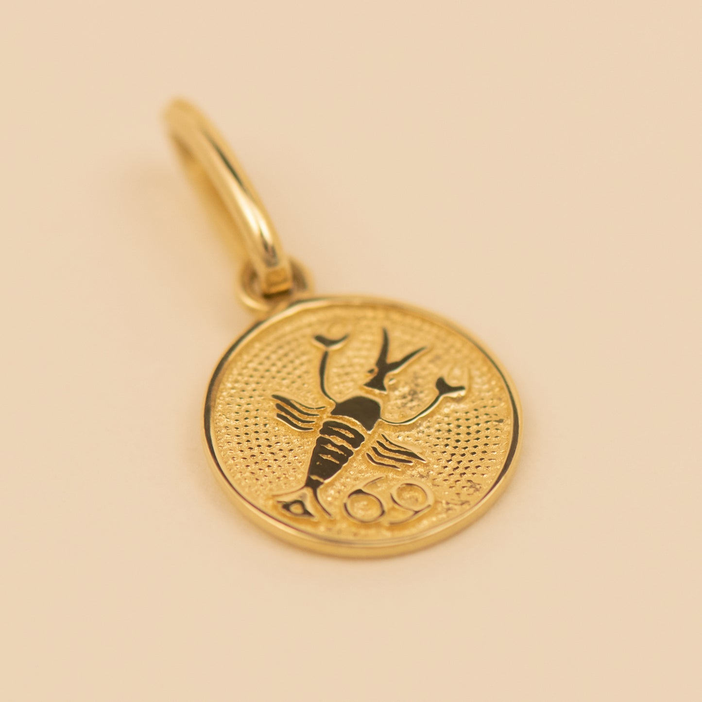 Zodiac Charm