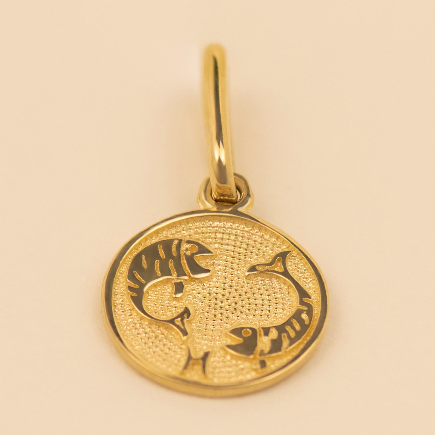 Zodiac Charm