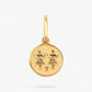 Pandantiv cu zodia gemeni din aur de 14k pe fundal alb. 14k solid gold 
Gemini zodiac charm on a white background